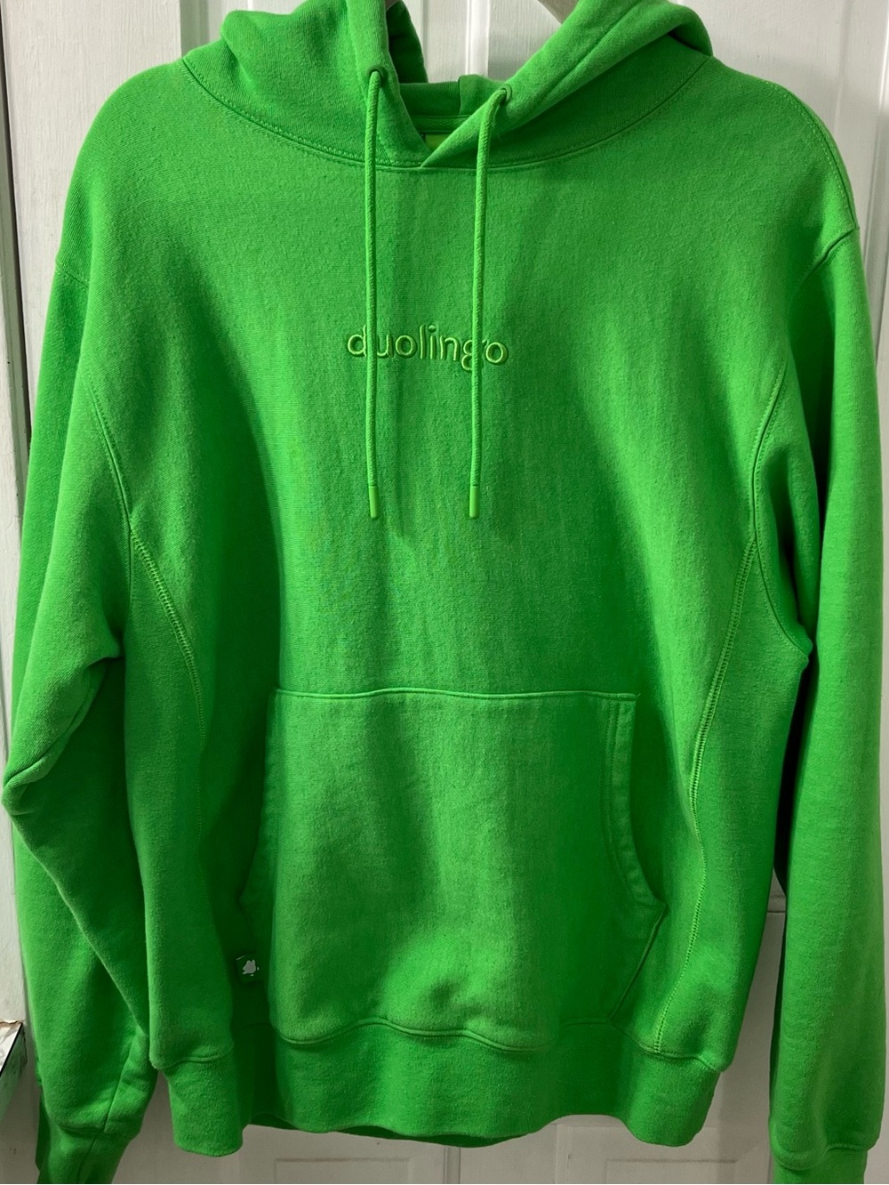 Daily Duolingo Adult Hoodie in the platform's signature bright green. Streetwear